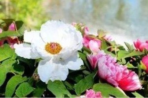 5分钟秒懂“山西扣点点是不是真的有挂”(详细教程)