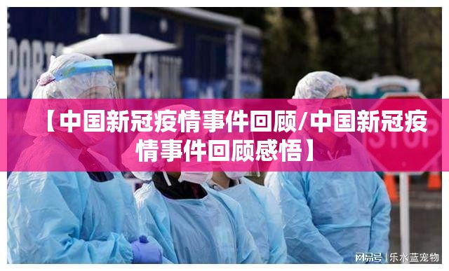 【中国新冠疫情事件回顾/中国新冠疫情事件回顾感悟】