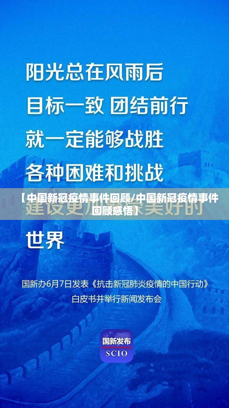 【中国新冠疫情事件回顾/中国新冠疫情事件回顾感悟】