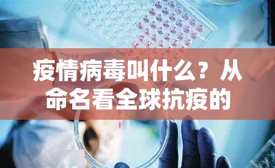 疫情病毒叫什么？从命名看全球抗疫的科学与人文