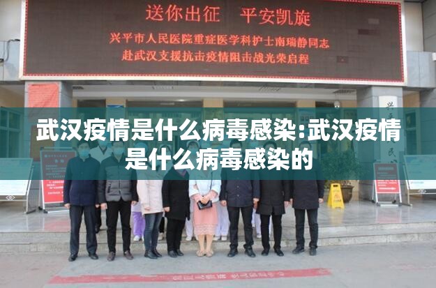 武汉疫情是什么病毒感染:武汉疫情是什么病毒感染的