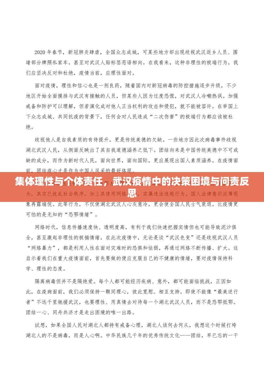 集体理性与个体责任，武汉疫情中的决策困境与问责反思