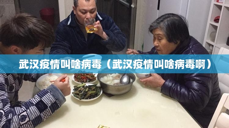 武汉疫情叫啥病毒（武汉疫情叫啥病毒啊）