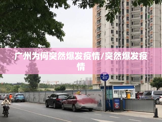 广州为何突然爆发疫情/突然爆发疫情