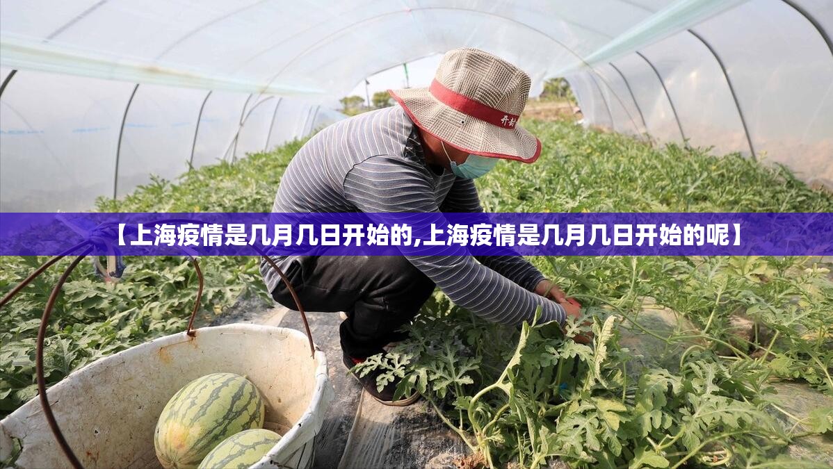 【上海疫情是几月几日开始的,上海疫情是几月几日开始的呢】