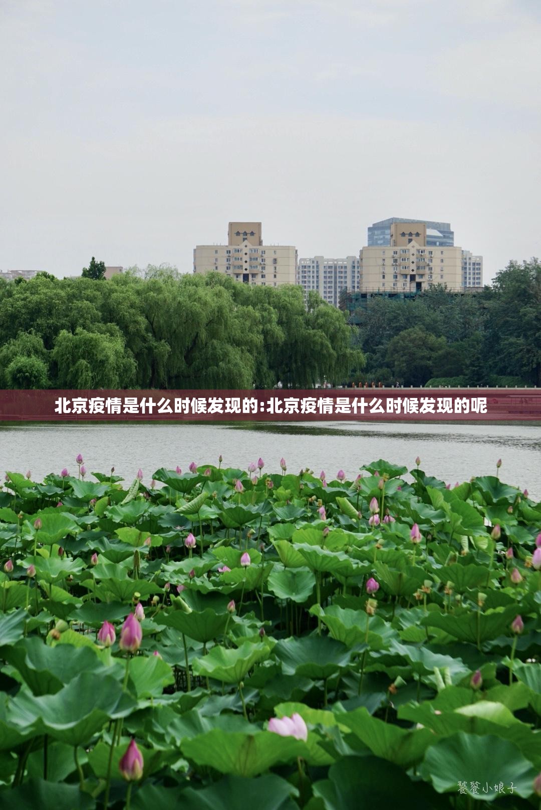 北京疫情是什么时候发现的:北京疫情是什么时候发现的呢