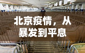 北京疫情，从暴发到平息的艰难历程