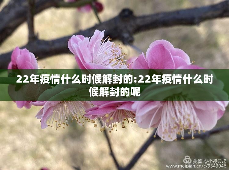 22年疫情什么时候解封的:22年疫情什么时候解封的呢