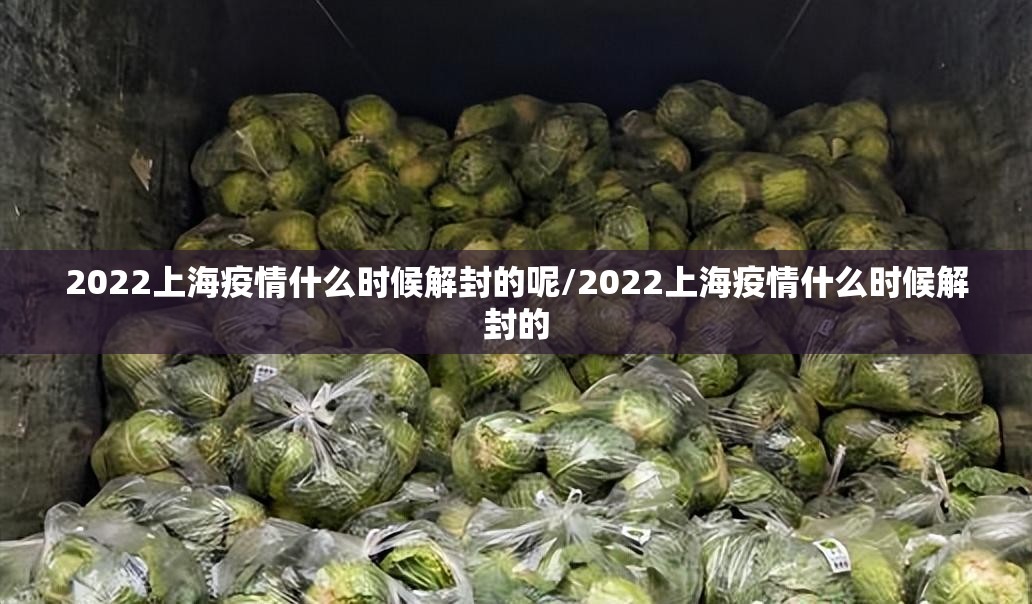 2022上海疫情什么时候解封的呢/2022上海疫情什么时候解封的