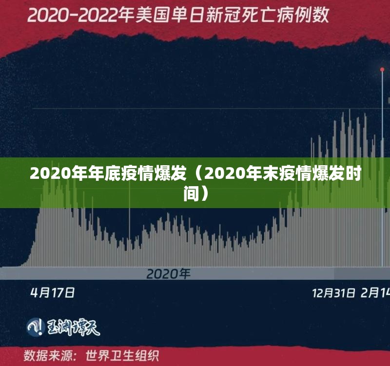 2020年年底疫情爆发（2020年末疫情爆发时间）