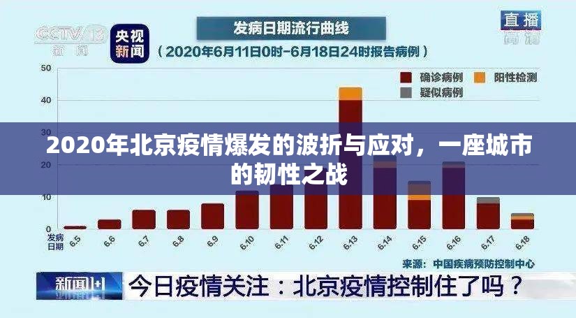 2020年北京疫情爆发的波折与应对，一座城市的韧性之战