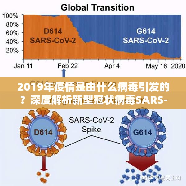 2019年疫情是由什么病毒引发的？深度解析新型冠状病毒SARS-CoV-2