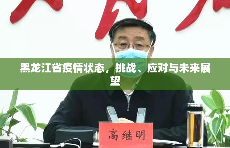 黑龙江省疫情状态，挑战、应对与未来展望