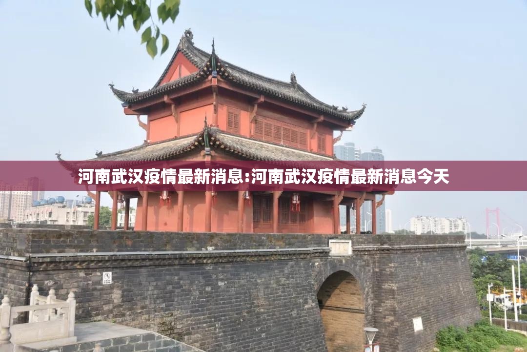 河南武汉疫情最新消息:河南武汉疫情最新消息今天