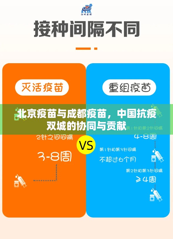 北京疫苗与成都疫苗，中国抗疫双城的协同与贡献