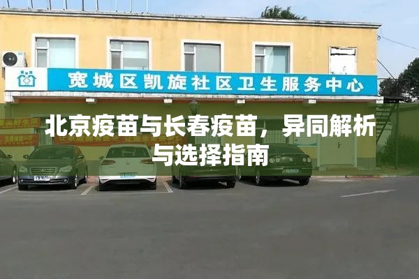 北京疫苗与长春疫苗，异同解析与选择指南