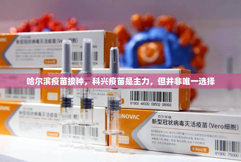 哈尔滨疫苗接种，科兴疫苗是主力，但并非唯一选择