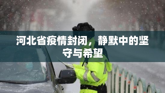 河北省疫情封闭，静默中的坚守与希望