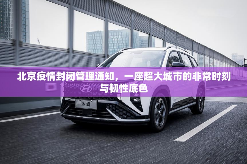 北京疫情封闭管理通知，一座超大城市的非常时刻与韧性底色