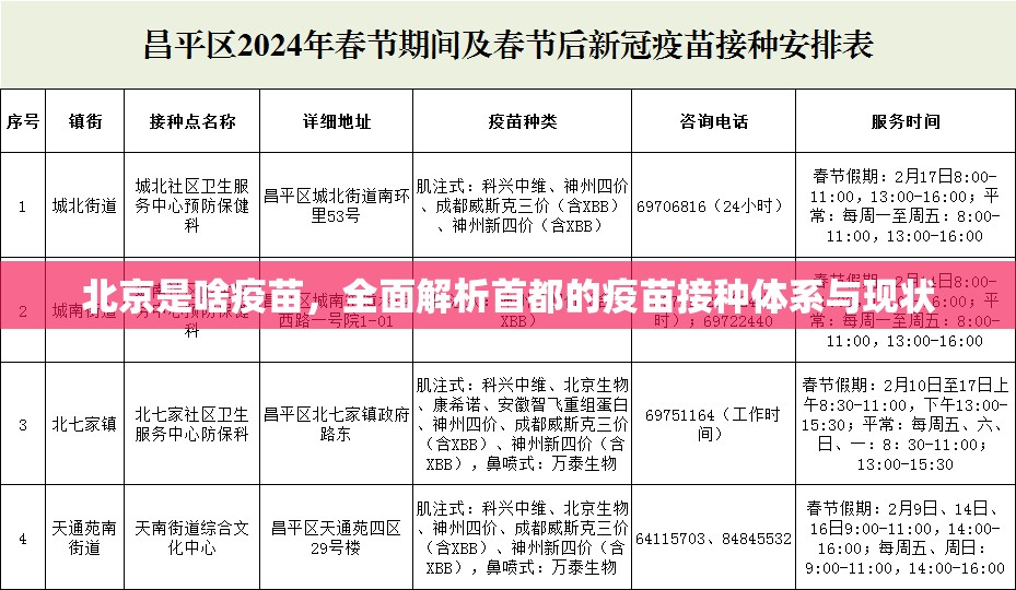 北京是啥疫苗，全面解析首都的疫苗接种体系与现状