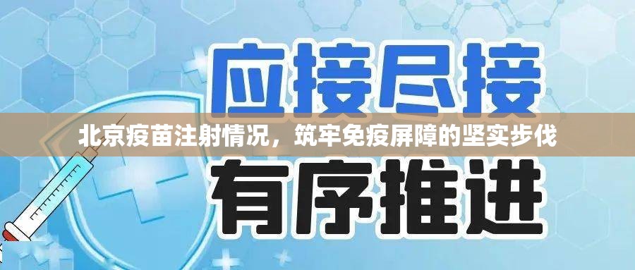 北京疫苗注射情况，筑牢免疫屏障的坚实步伐