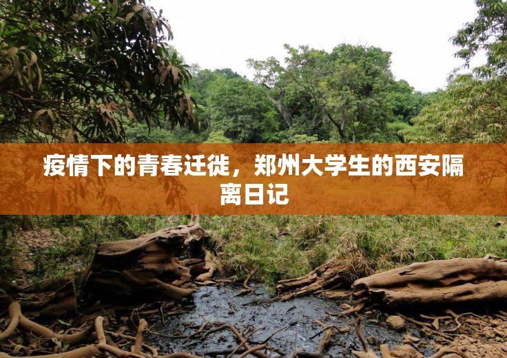 疫情下的青春迁徙，郑州大学生的西安隔离日记