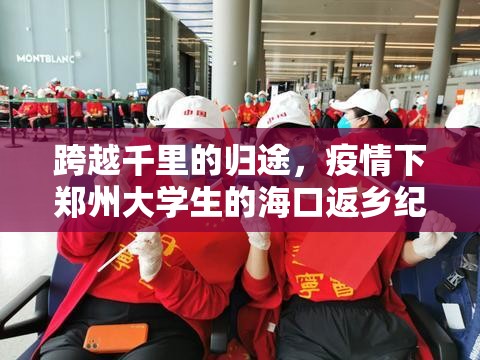 跨越千里的归途，疫情下郑州大学生的海口返乡纪实