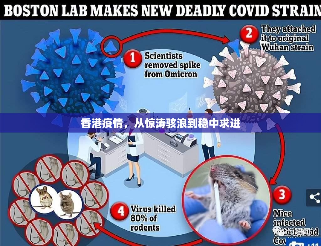 香港疫情，从惊涛骇浪到稳中求进