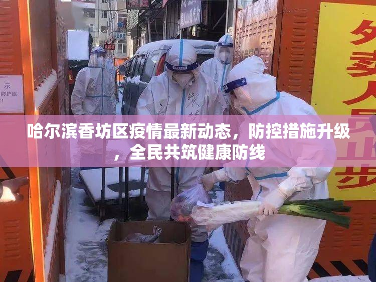 哈尔滨香坊区疫情最新动态，防控措施升级，全民共筑健康防线