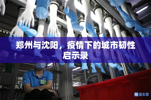 郑州与沈阳，疫情下的城市韧性启示录