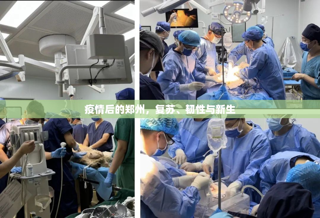 疫情后的郑州，复苏、韧性与新生