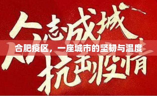 合肥疫区，一座城市的坚韧与温度