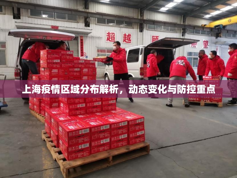 上海疫情区域分布解析，动态变化与防控重点