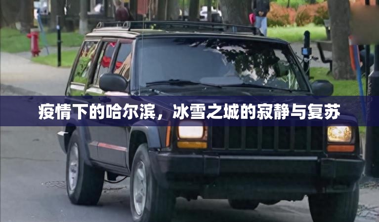 疫情下的哈尔滨，冰雪之城的寂静与复苏