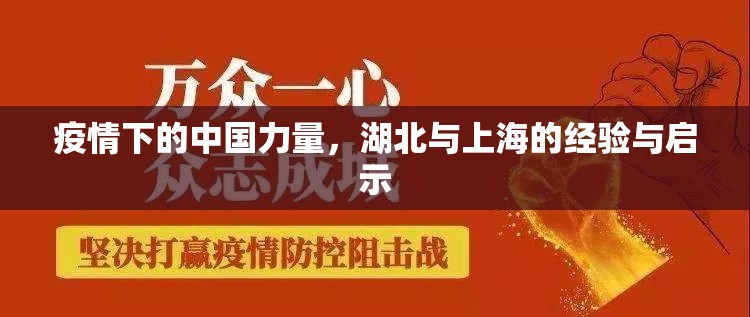 疫情下的中国力量，湖北与上海的经验与启示