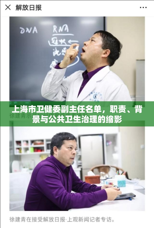 上海市卫健委副主任名单，职责、背景与公共卫生治理的缩影