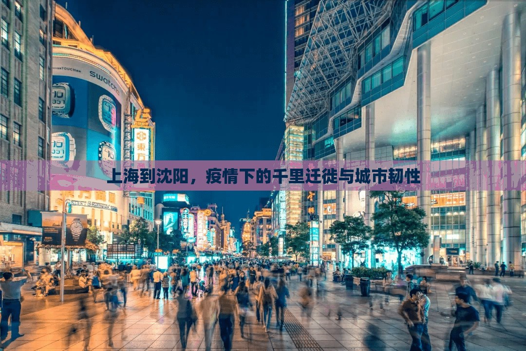 上海到沈阳，疫情下的千里迁徙与城市韧性