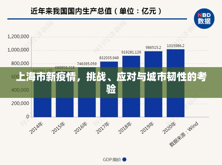 上海市新疫情，挑战、应对与城市韧性的考验