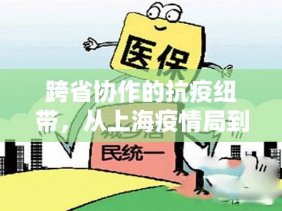 跨省协作的抗疫纽带，从上海疫情局到海南省分局电话的思考