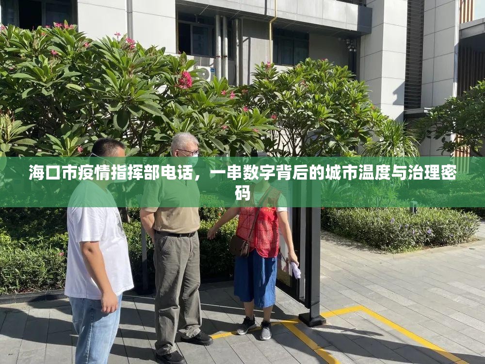 海口市疫情指挥部电话，一串数字背后的城市温度与治理密码