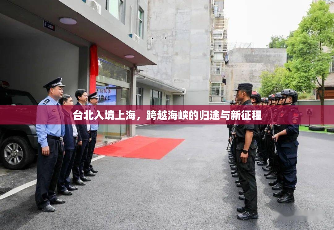 台北入境上海，跨越海峡的归途与新征程
