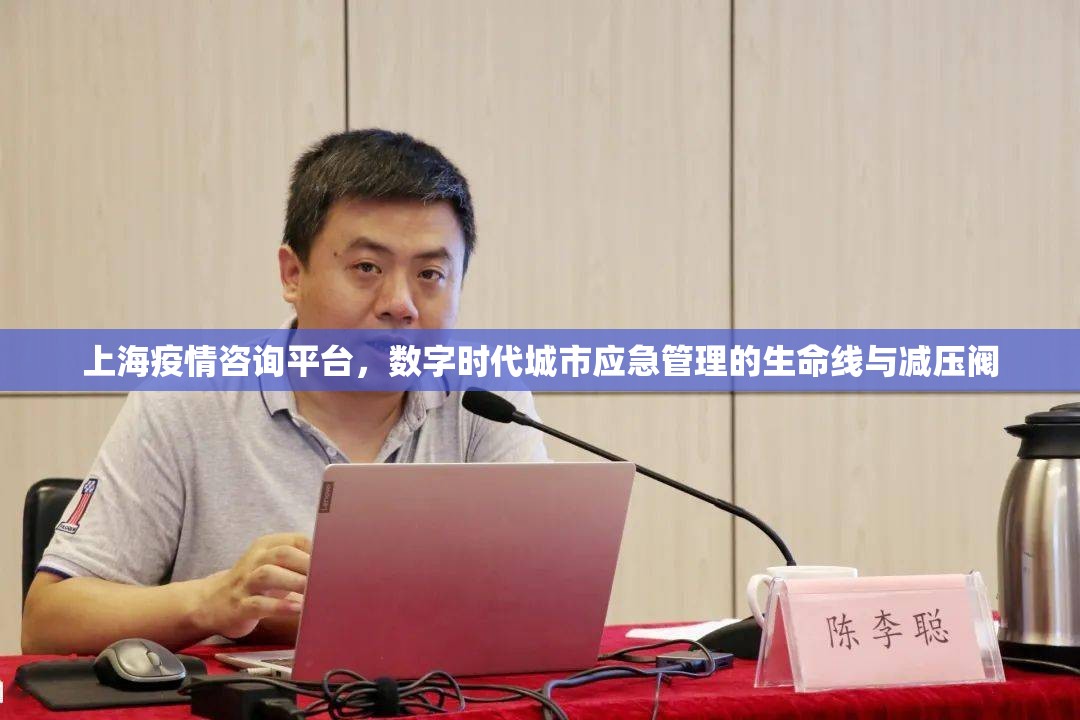 上海疫情咨询平台，数字时代城市应急管理的生命线与减压阀