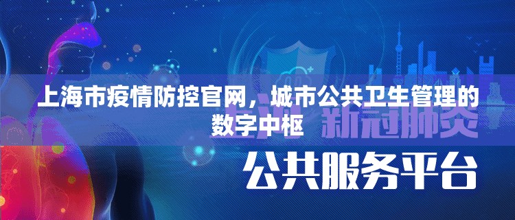 上海市疫情防控官网，城市公共卫生管理的数字中枢