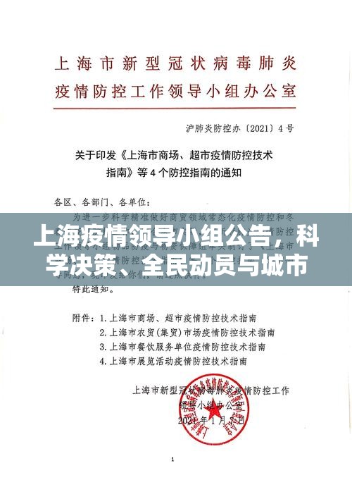 上海疫情领导小组公告，科学决策、全民动员与城市韧性的三重奏