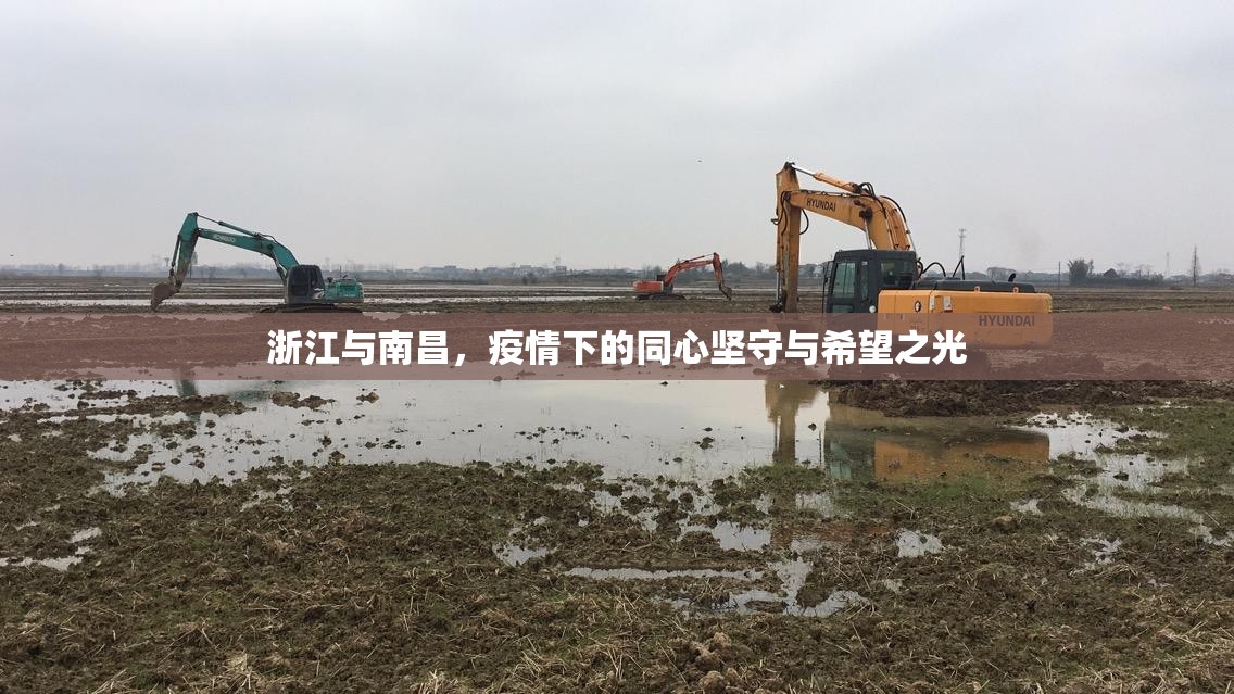 浙江与南昌，疫情下的同心坚守与希望之光
