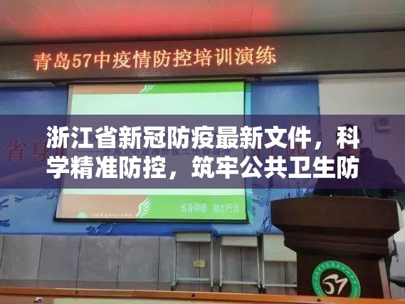浙江省新冠防疫最新文件，科学精准防控，筑牢公共卫生防线