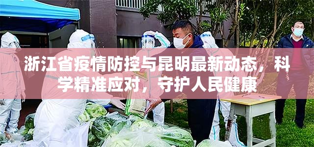 浙江省疫情防控与昆明最新动态，科学精准应对，守护人民健康