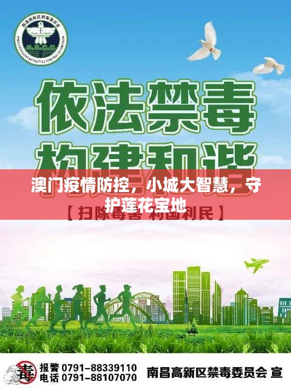 澳门疫情防控，小城大智慧，守护莲花宝地