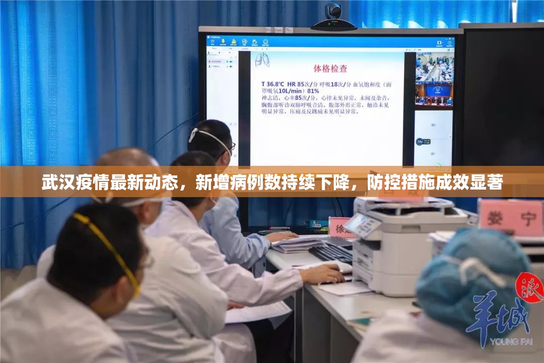 武汉疫情最新动态，新增病例数持续下降，防控措施成效显著