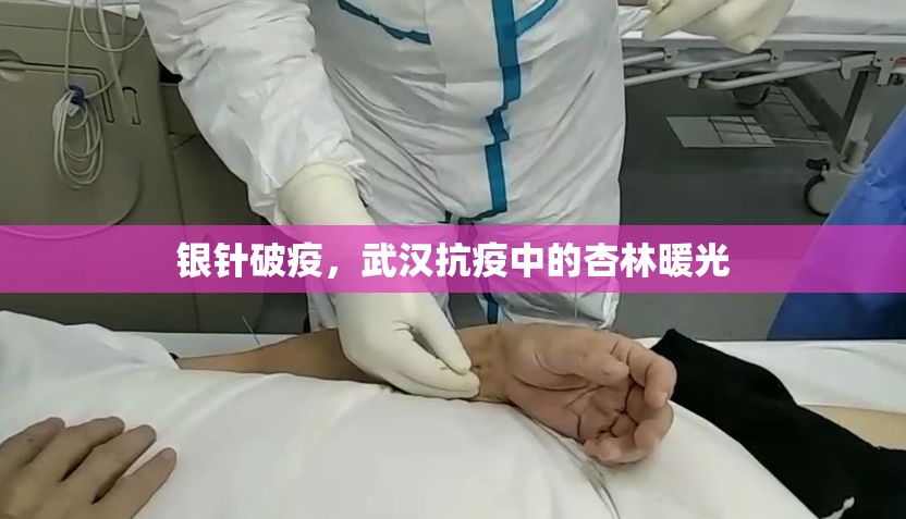 银针破疫，武汉抗疫中的杏林暖光